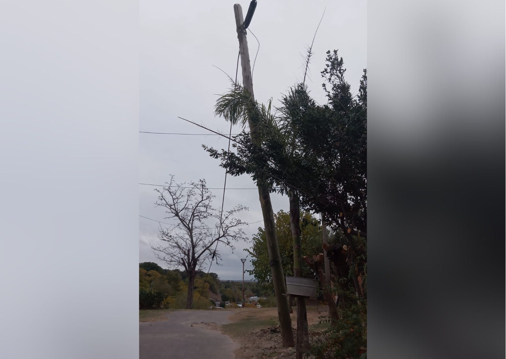 Liniers Vecinos Reportan Por Un Palo Que Est A Punto De Caerse