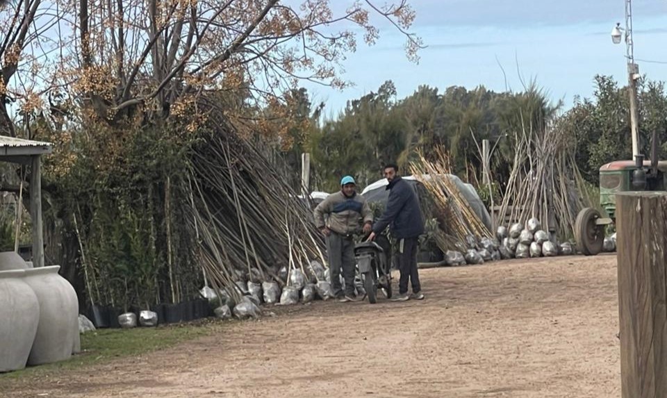 Le robaron las plantas y las recuperó junto a la policía rural en un