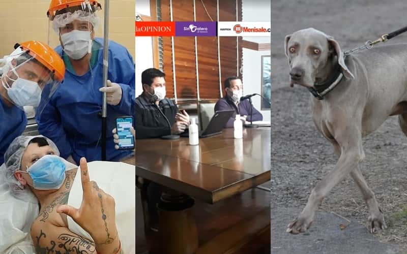 #Anuario2020 Lo más visto en redes: el perro Bruno, La Chabona y los “en vivo” de Sin Galera
