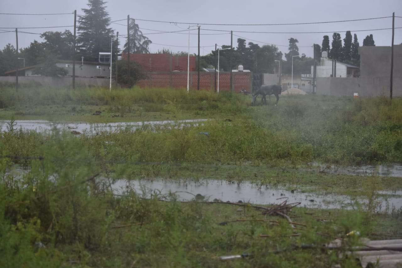 Temporal de lluvia: anegamiento en el barrio Estrada, donde comenzó la obra de pavimentación