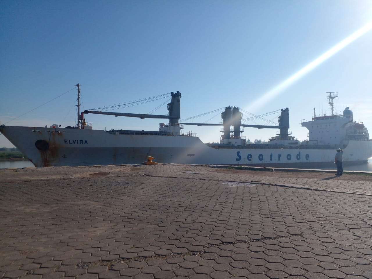 Importación de bananas de Ecuador: el buque Elvira ya está en el puerto para comenzar la descarga
