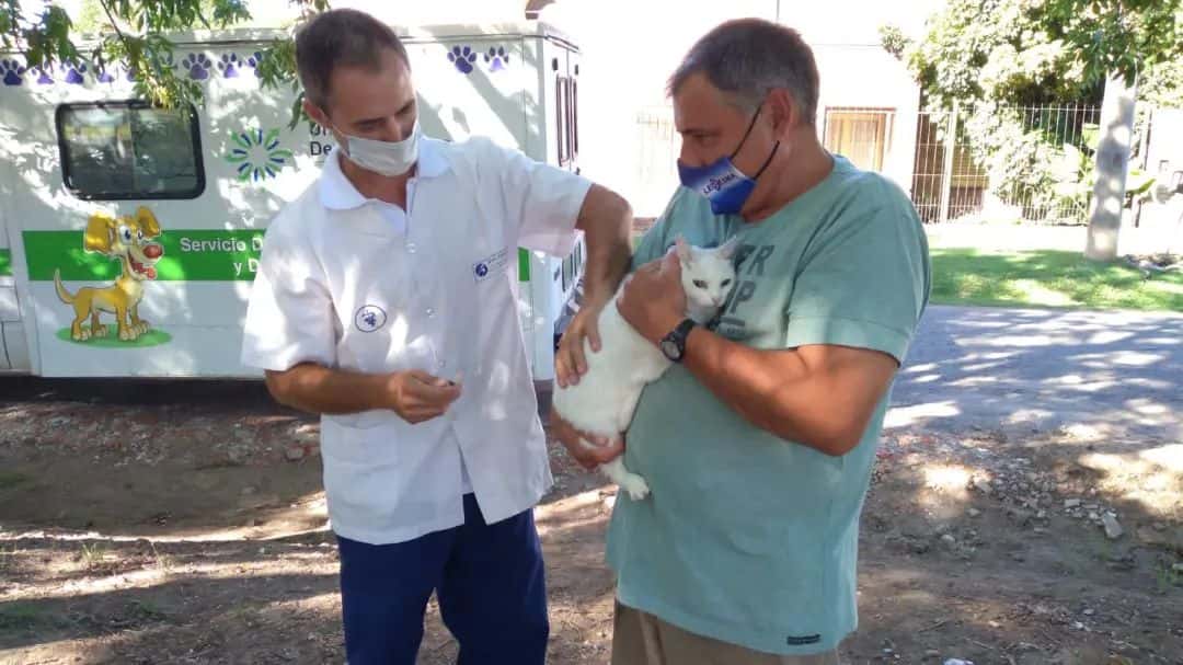 Departamento Canino vacunó a 96 animales en Los Aromos
