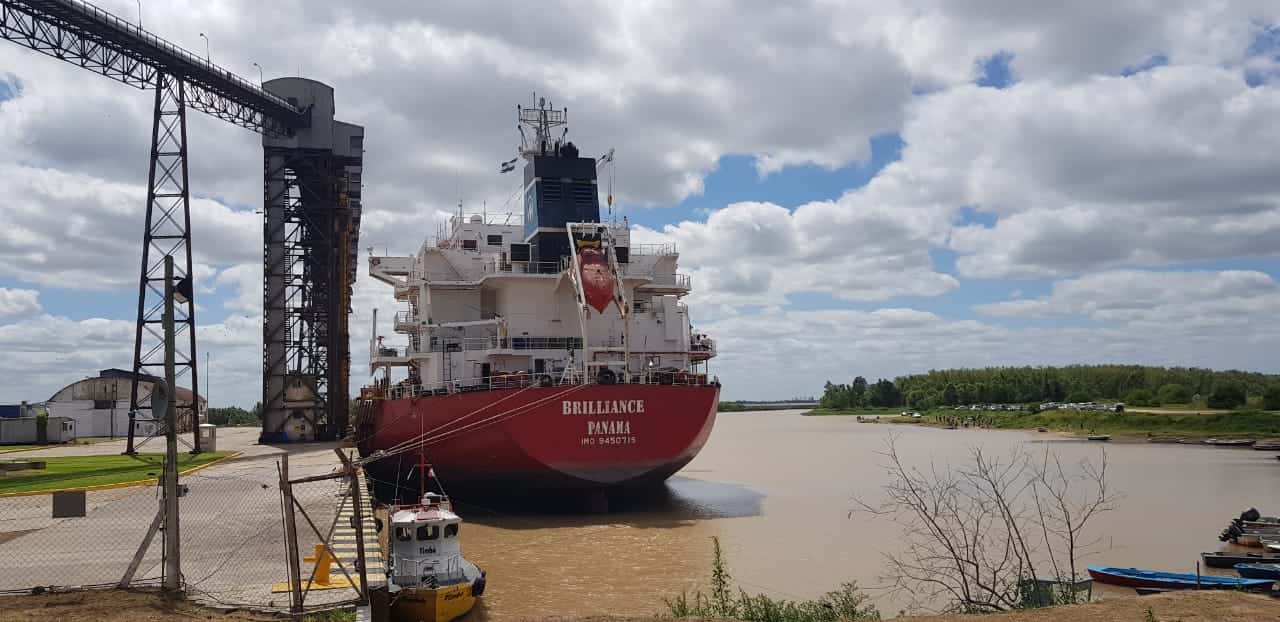 Puerto: cargan 10 mil toneladas de arvejas con destino a Venezuela