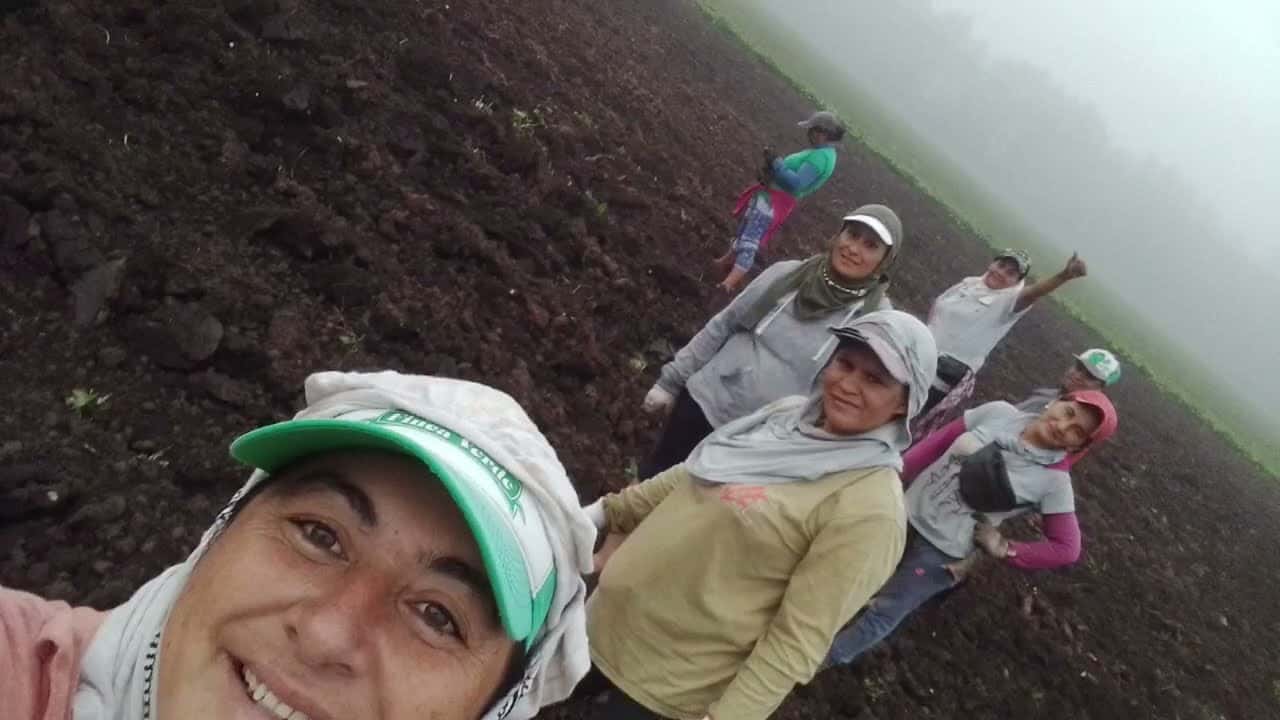 8M: historias de mujeres trabajadoras rurales de Gobernador Castro
