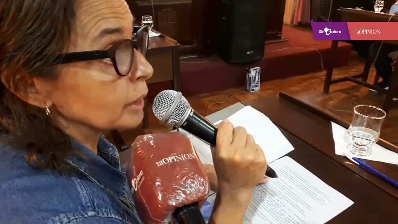 Tras el 8M, Rita Leguizamón exhortó al Concejo: “Hagámonos cargo de lo que nos toca”