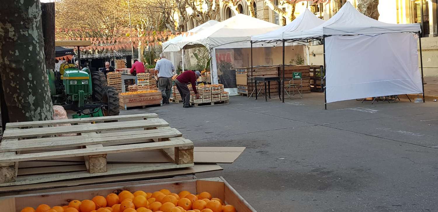 Este fin de semana, Fiesta de la Naranja de Ombligo frente a la Municipalidad