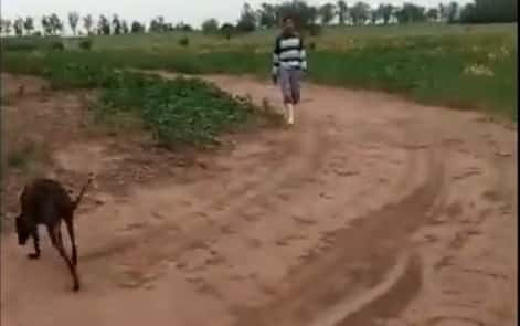 Inseguridad rural: harto de los robos, dueño de campo apuntó con un arma a joven que estaba en su predio y lo filmó
