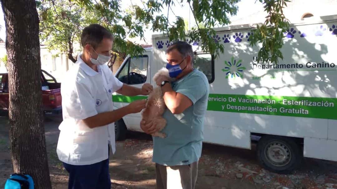 Mascotas: Operativo vacunación en Villa Igoillo
