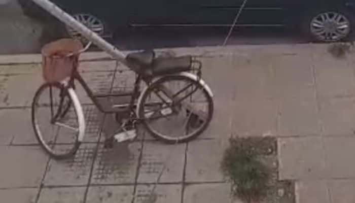 Entraron al patio de su casa y le robaron la bici