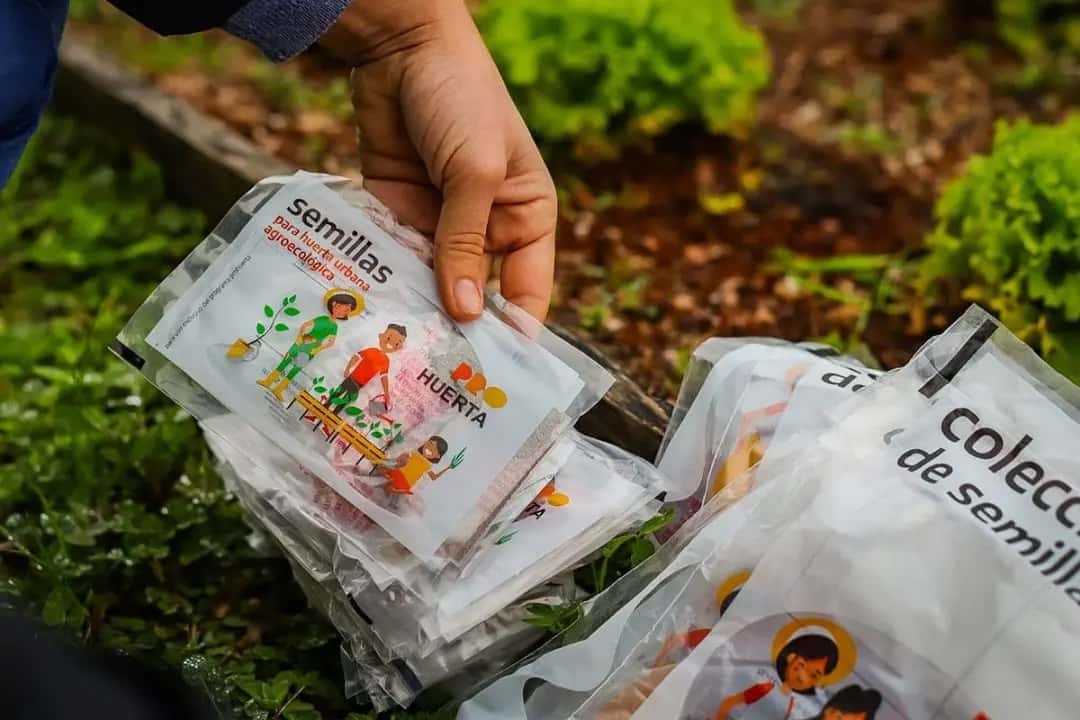 Pro-huerta: entregan semillas en el CIC esta semana