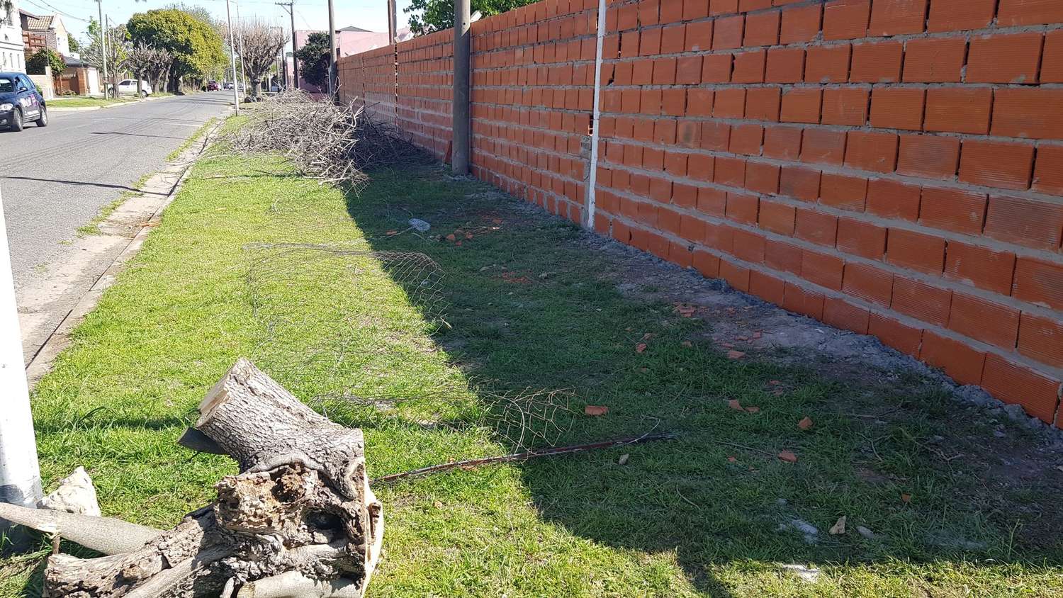 Vecinos de la cancha de El Tanque piden que demuelan el tapial y repongan los árboles talados