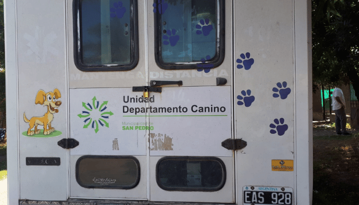 Mascotas: vacunan y desparasitan gratis en Río Tala