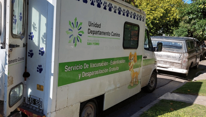 Mascotas: vacunan y desparasitan gratis en Gobernador Castro