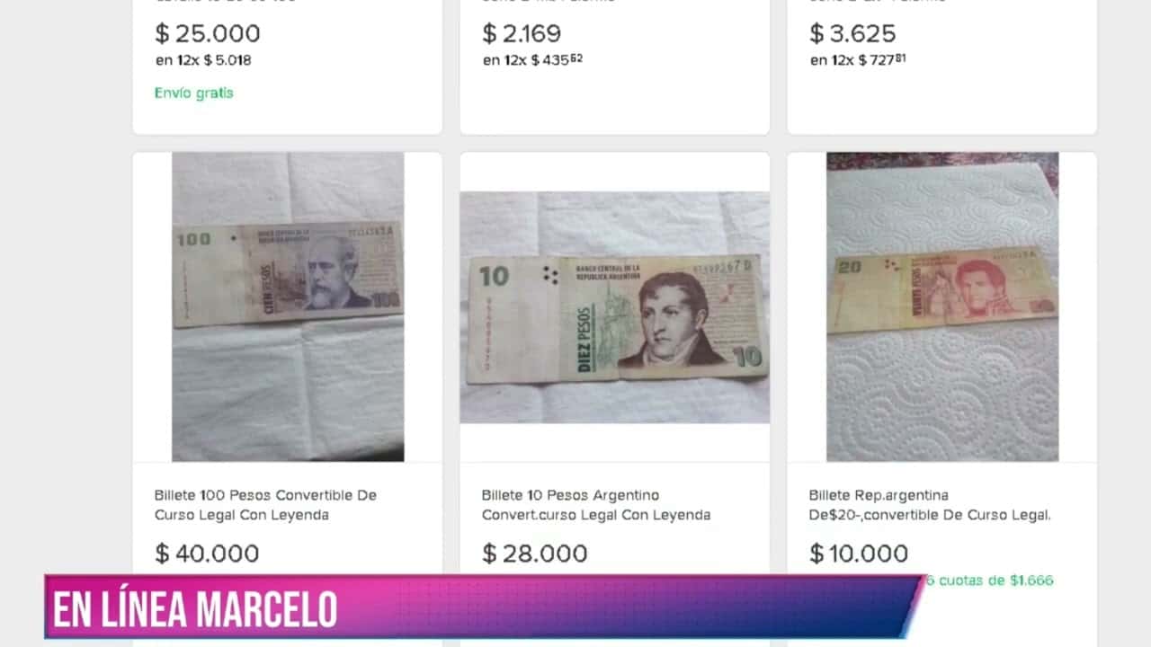 El club del billete: colecciones de moneda argentina y quién ganó la planta del Estudio de Jardinería