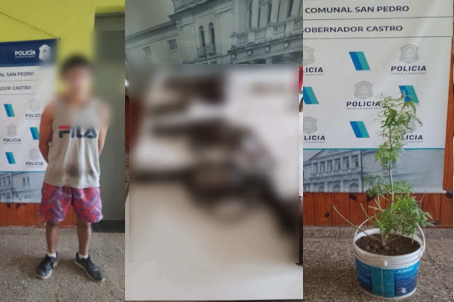 Allanamiento en Gobernador Castro: secuestraron armas y una planta de marihuana