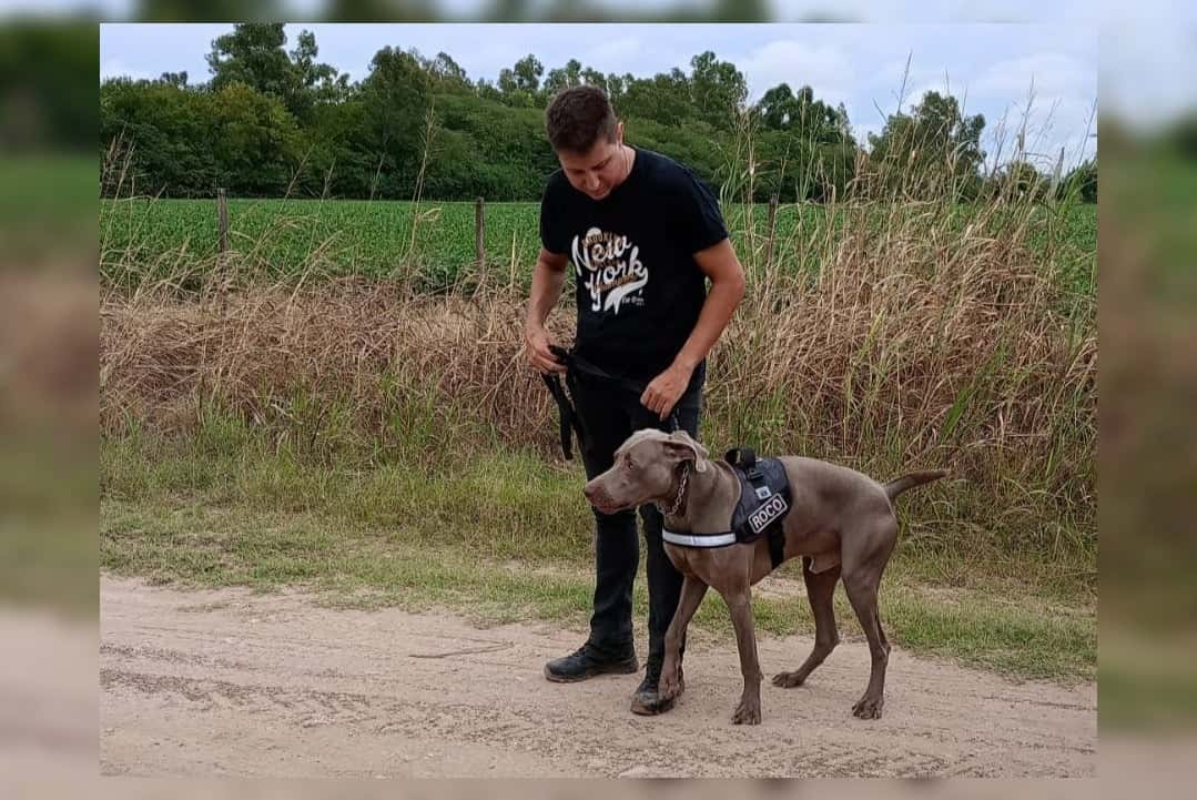 Hallaron con vida a la mujer desaparecida: los perros la encontraron en un callejón rural