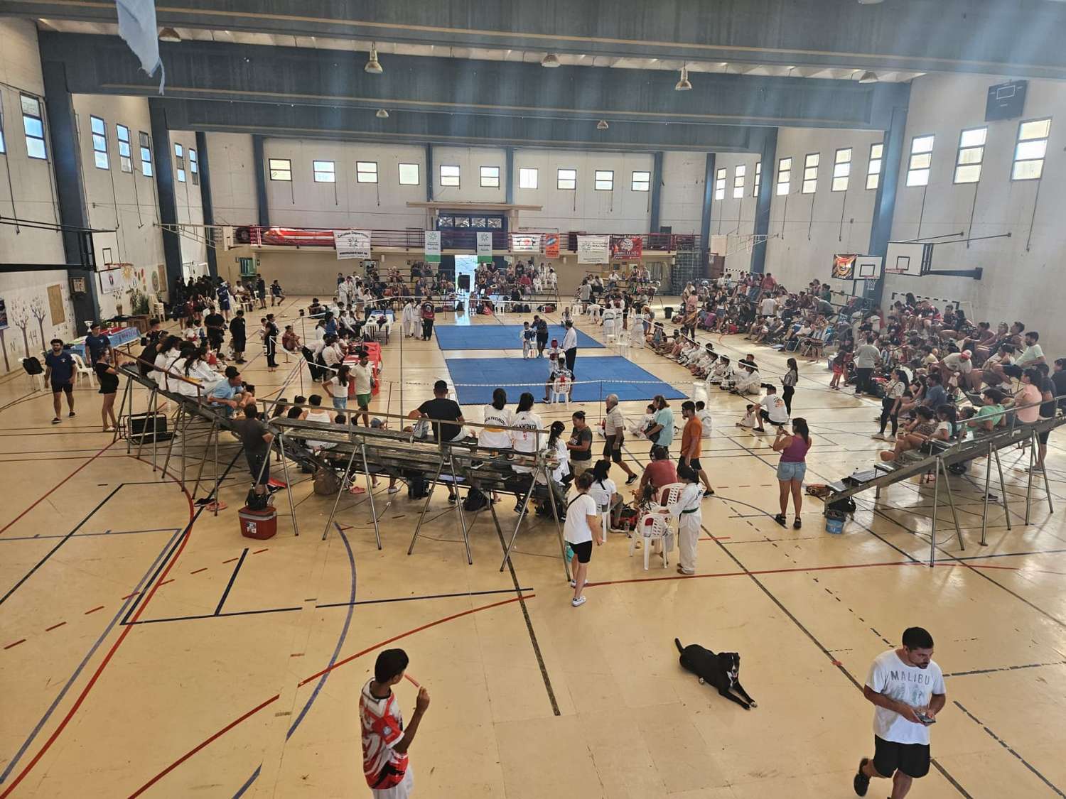 Taekwondo: San Pedro fue sede de una importante competición