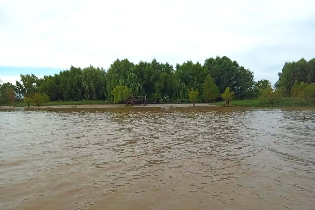Río Paraná: "El brusco descenso ya se estabilizó en el delta"