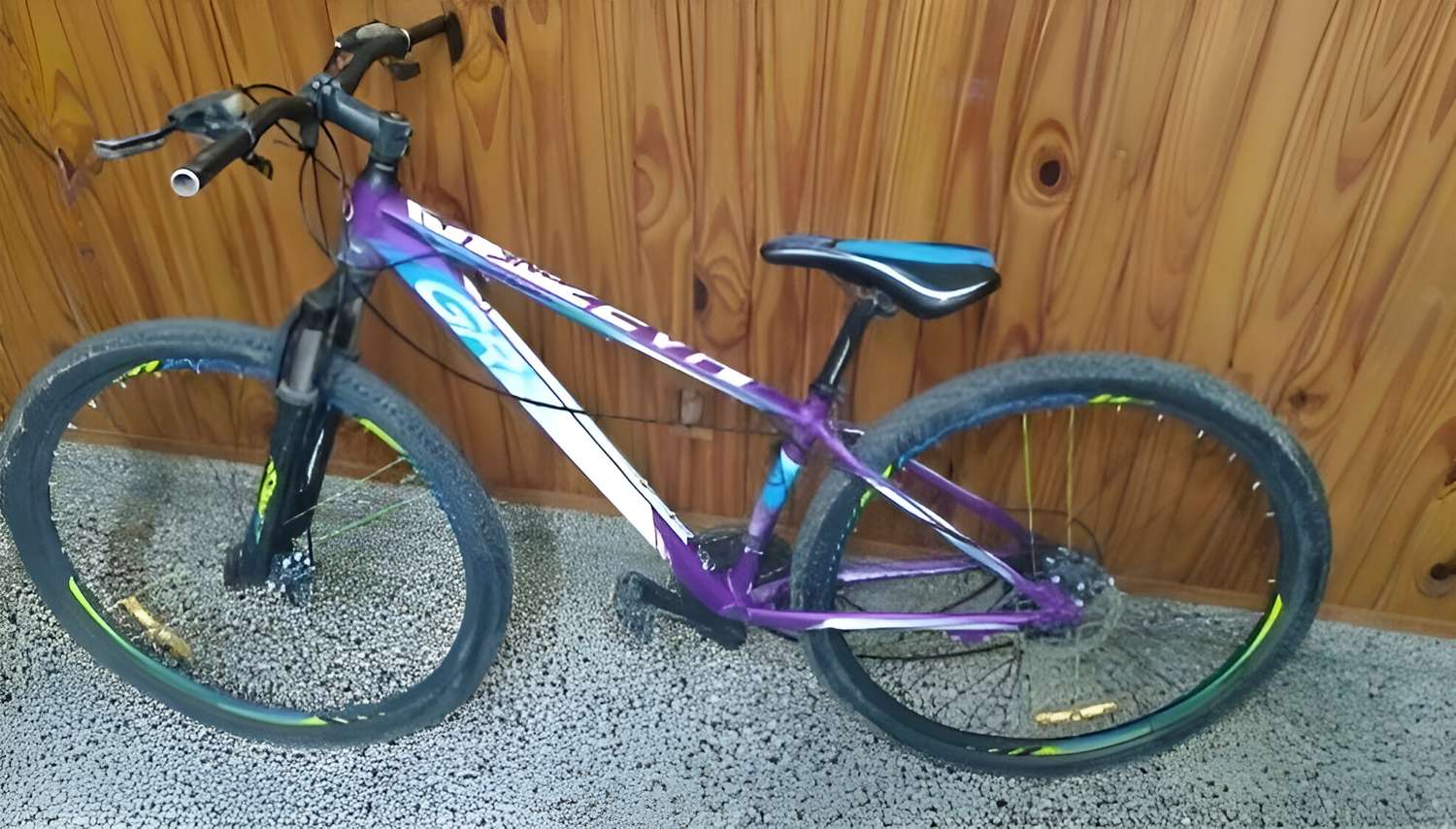 Recuperan bicicleta robada en Santa Lucía