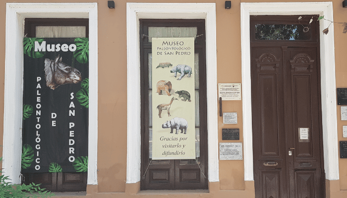 Feriado extralargo: el Museo Paleontológico abre sus puertas a locales y turistas