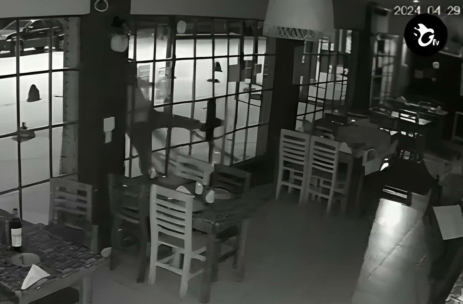 [VIDEO] Así entraron a robar al restaurante Vía Costa