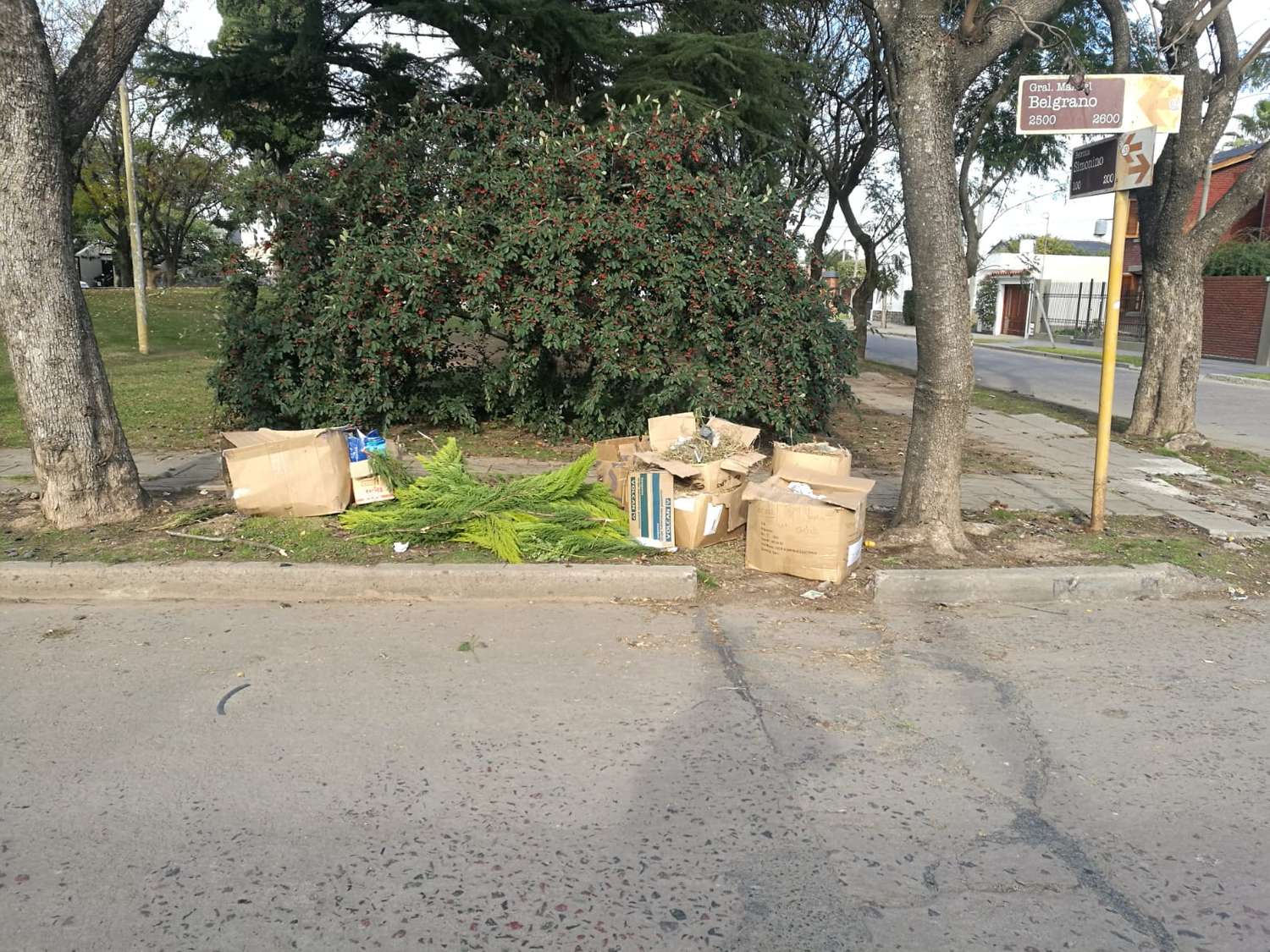 Plaza Martín Fierro: hace semanas que nadie pasa a limpiar