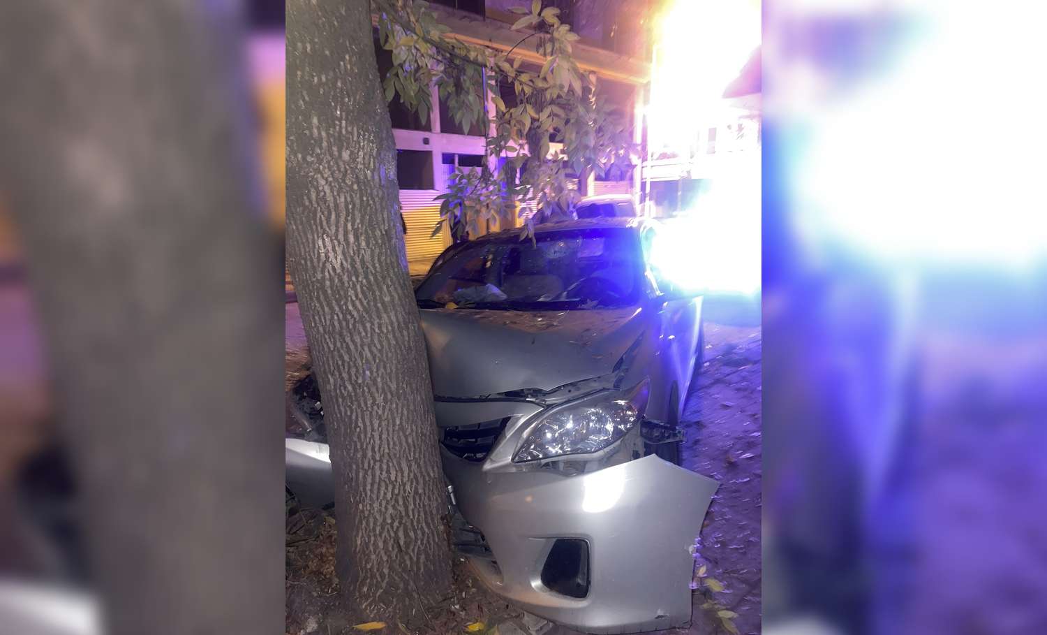 Perdió el control del auto y terminó contra un árbol en el centro