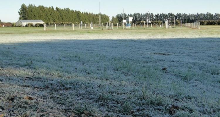 Inta registró temperaturas bajo cero