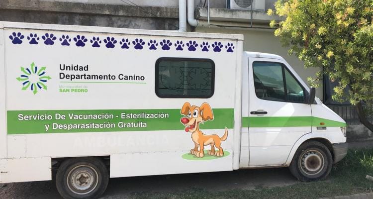 Acondicionaron un vehículo para el traslado de perros callejeros