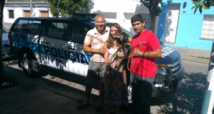 “Coquito”, el perro de la calle que se sumó a la Policía Federal