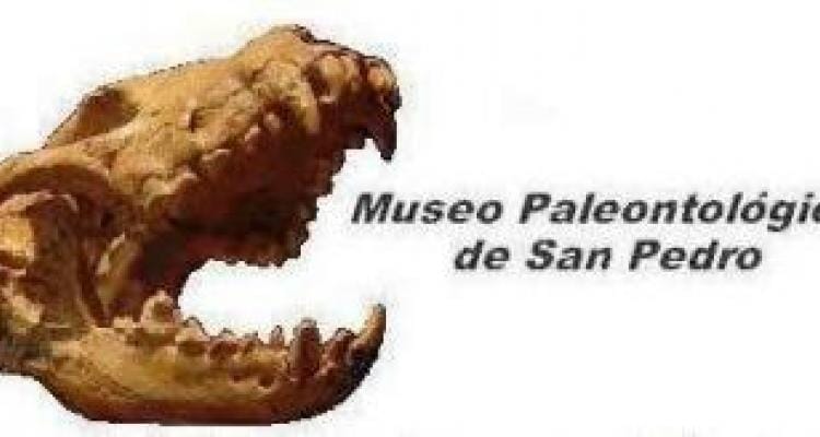 Taller gratuito en el Museo Paleontológico