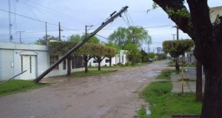 Temporal: Gran cantidad de árboles y postes caídos en la ciudad