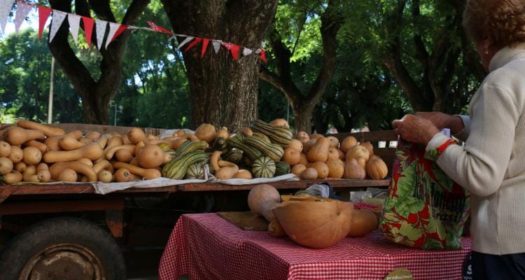 Este sábado, primera feria Frutos de la Tierra y el río en Plaza Constitución