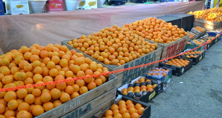 Comenzó la Fiesta de la Naranja de Ombligo en Plaza Constitución