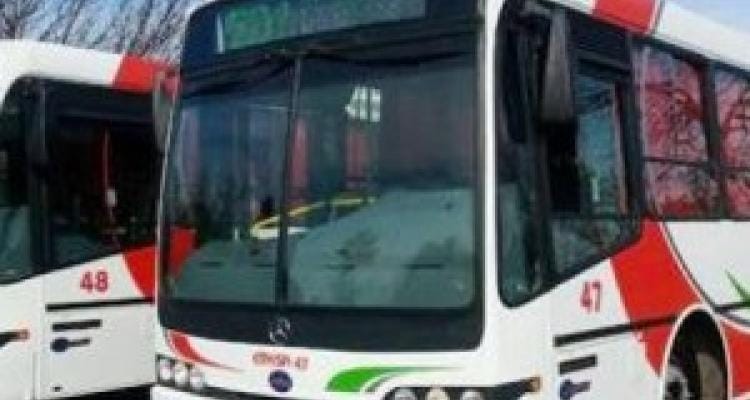 Ejecutivo elevó nuevo cuadro tarifario para el transporte público de pasajeros