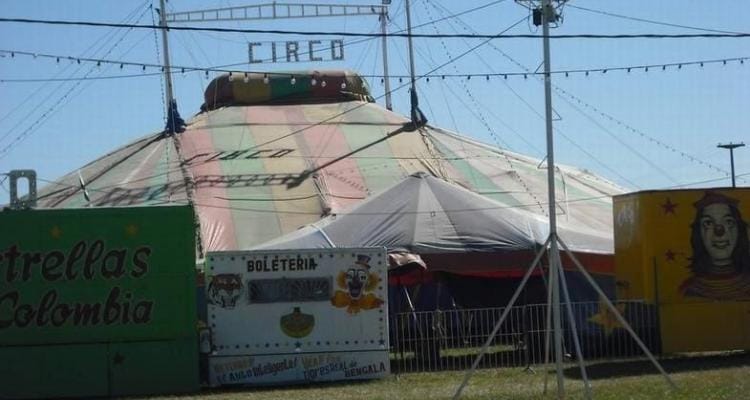 Después de 30 años, vuelve un circo a Río Tala