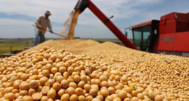 Acusan a un productor rural de robar 10 toneladas de soja a otro: fue sorprendido infraganti