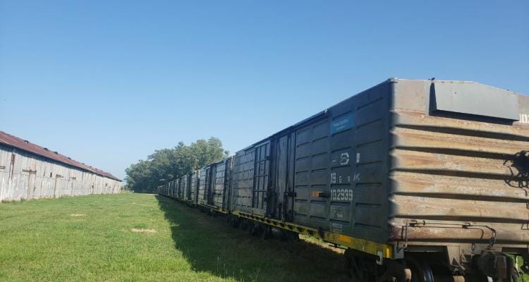 Santa Lucía: llegó el tren con la carga de porotos que se exportará a Cuba desde el puerto local