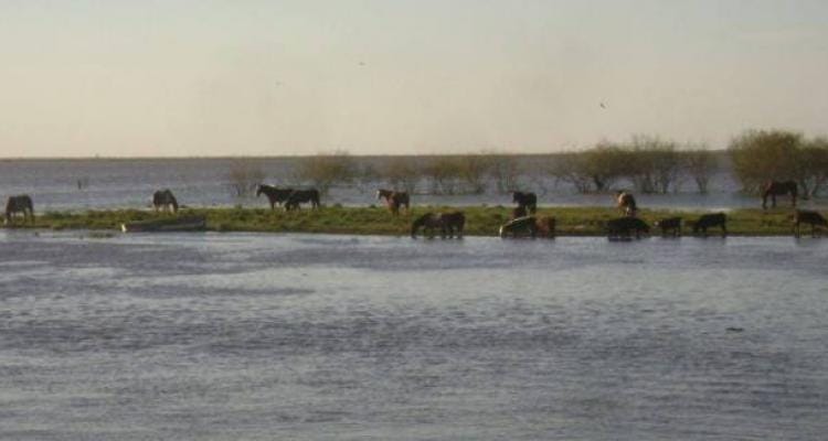Creciente del Paraná: Baradero evacuó familia de zona de islas luego de que el río superara los 2,70 metros