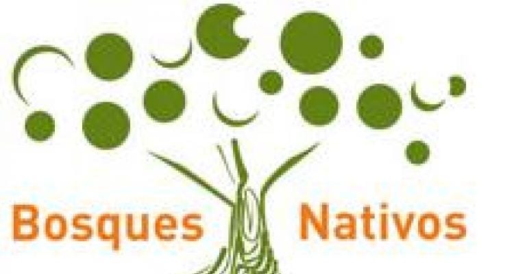 Ley de Bosques Nativos: Técnicos del Opds llegan para relevamiento