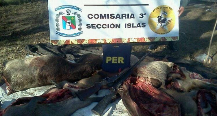 Detuvieron en Entre Ríos a sampedrinos que cazaban carpinchos
