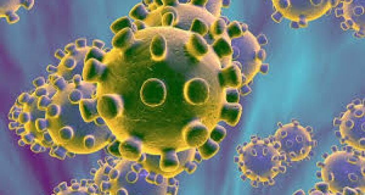 Coronavirus: Atención a los consejos que da el Gobierno de la provincia
