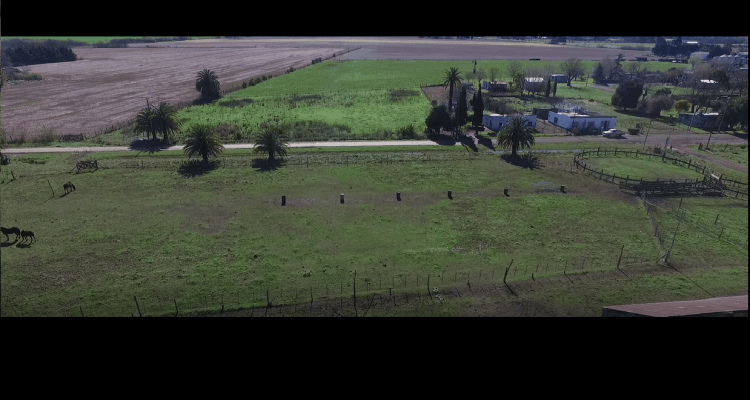 Pueblo Doyle: Vecinos preocupados por uso de agroquímicos a menos de 300 metros de sus casas