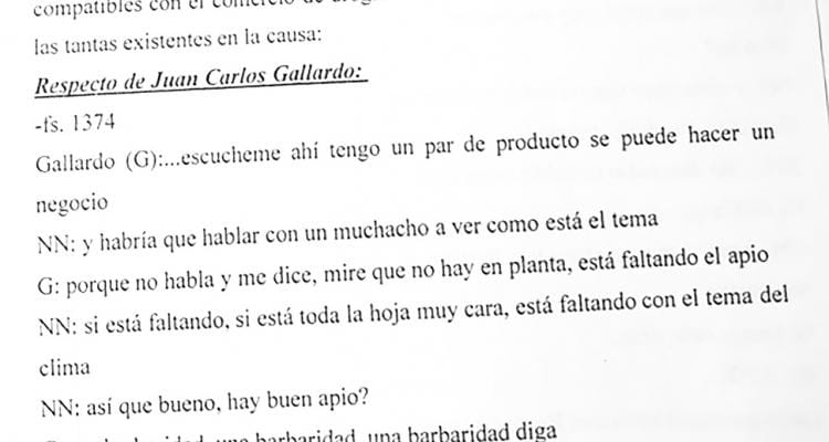Bomba Gallardo: preventiva para los detenidos y arresto domiciliario para Carola Austin