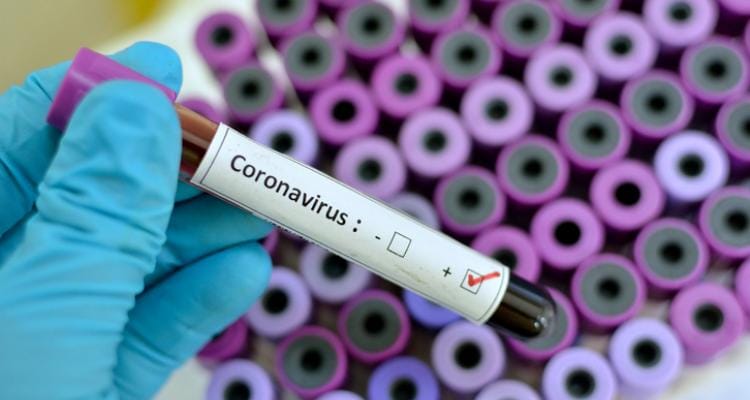 Coronavirus: Charlas para funcionarios, docentes y representantes de entidades intermedias