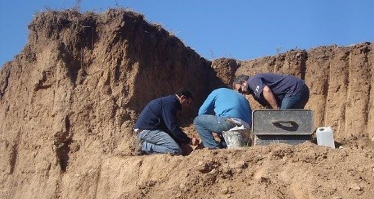 Grupo Conservacionista presentó restos de un mamífero atacado por termitas
