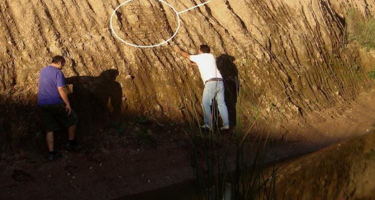 Descubren cueva de armadillo gigante en el Bajo Campodónico