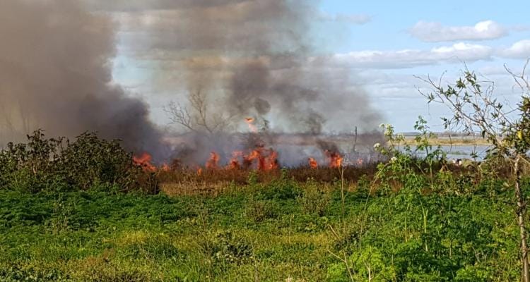 Bomberos controló quema de pastizales en la costa