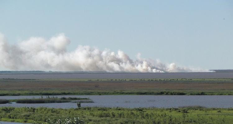 “Aire puro es salud” un libro que informa sobre el impacto de las quemas en el Delta del Paraná