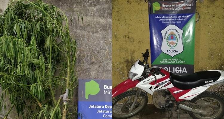 Santa Lucía: En distintos operativos, Policía secuestró una planta de marihuana y recuperó una moto robada minutos antes